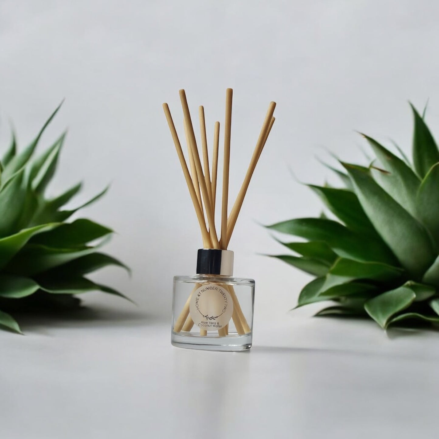Aloe Vera and Coconut Water Reed Diffuser by Home at Number Twenty Two - a refreshing and soothing home fragrance with crisp aloe vera and hydrating coconut water notes, elegantly presented with natural reeds.