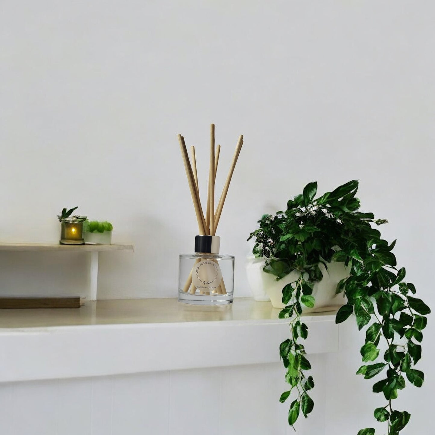 Caribbean Escape Reed Diffuser by Home at Number Twenty Two – a tropical and uplifting home fragrance with notes of coconut, pineapple, and, exotic fruits, elegantly presented with natural reeds.