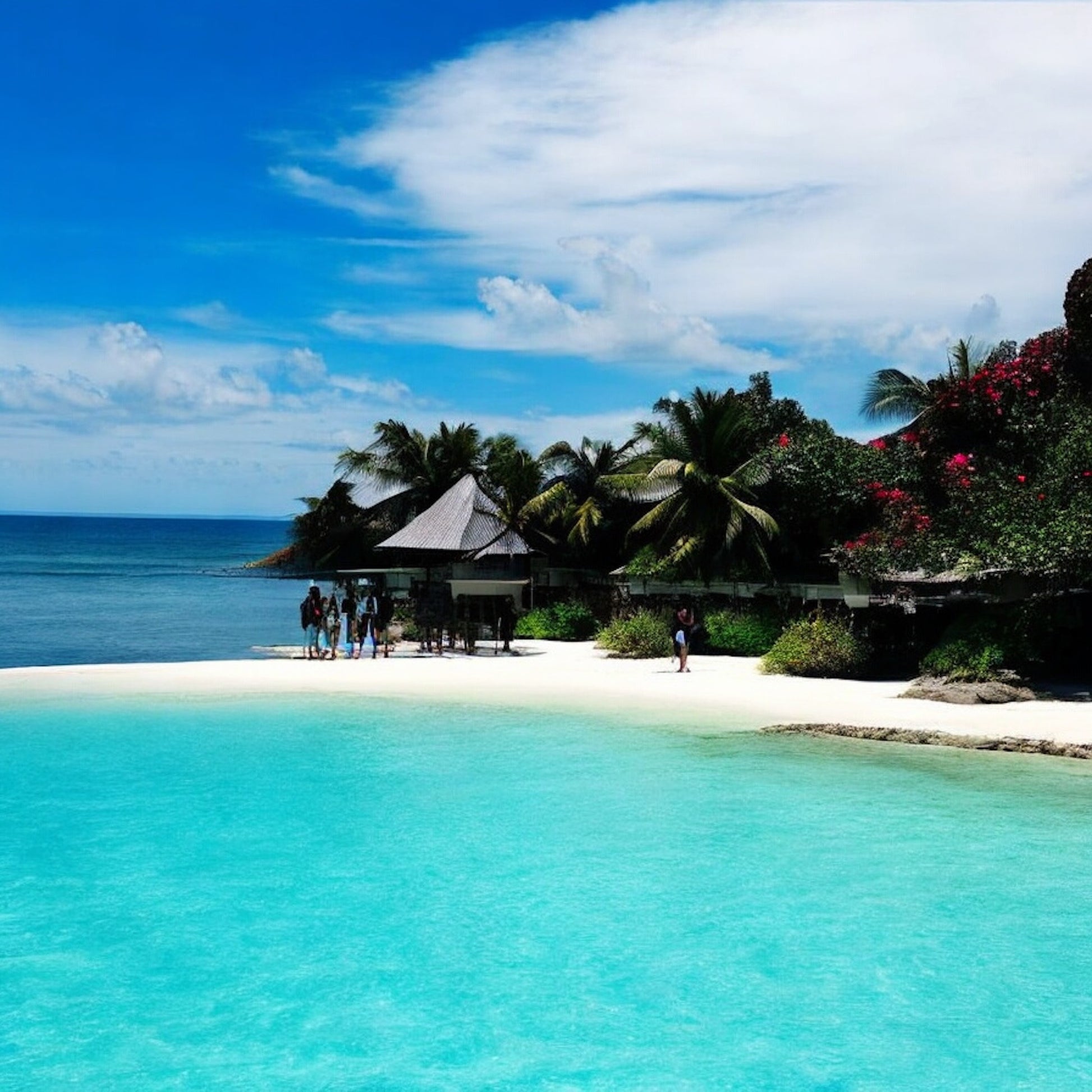 Caribbean Escape Reed Diffuser by Home at Number Twenty Two – a tropical and uplifting home fragrance with notes of coconut, pineapple, and, exotic fruits, elegantly presented with natural reeds.