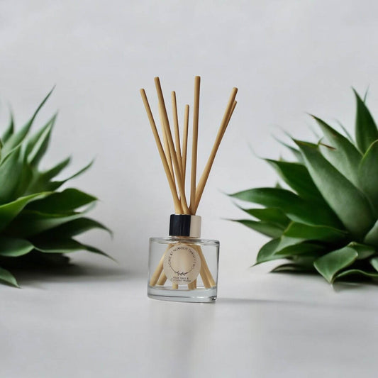 Aloe Vera and Coconut Water Reed Diffuser - Home at Number Twenty Two