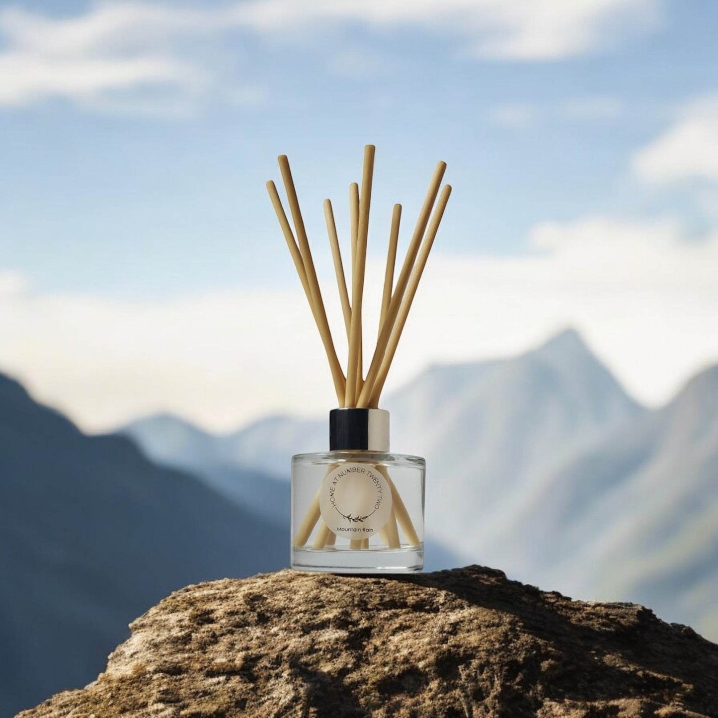 Mountain Rain Reed Diffuser - Home at Number Twenty Two